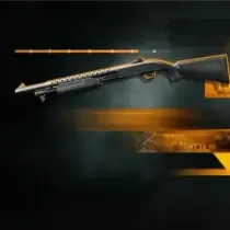 Shotguns Leveling