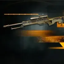 Sniper Rifles Leveling