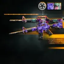 Weapons Leveling & Camos Bundle