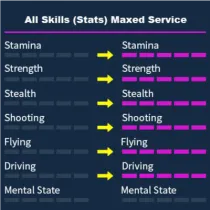 GTA 5 All Skills (Stats) Maxed Service
