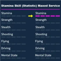 GTA 5 Stamina Skill (Statistic) Maxed Service