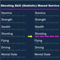 GTA 5 Shooting Skill (Statistic) Maxed Service