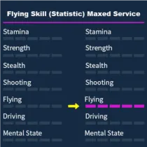 GTA 5 Flying Skill (Statistic) Maxed Service